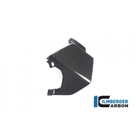 Upper Wing left BMW M 1000 XR 2024