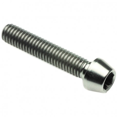 LighTech Socket Head Tit. G.5 CL 001 M10 X 1.25 L. 55