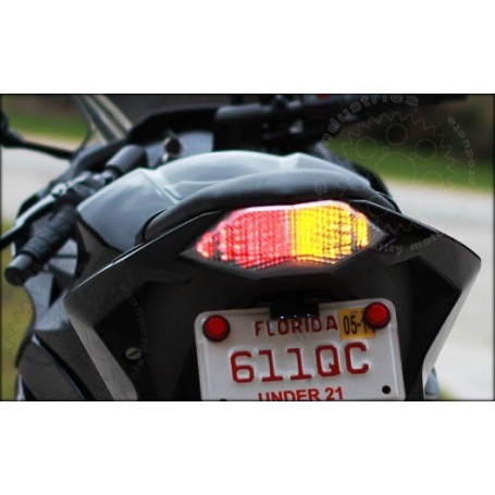 TST Standard Fender Eliminator Kawasaki Ninja 300 2013-2017 | Kawasaki Z300 2015-2018