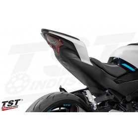 TST Undertail Closeout for CFMOTO 450SS 2022+