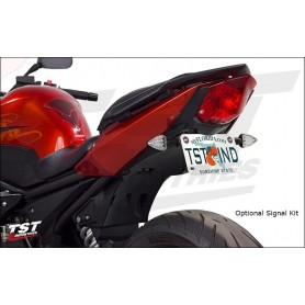 TST Fender Eliminator for Yamaha FZ6R 2009-2017
