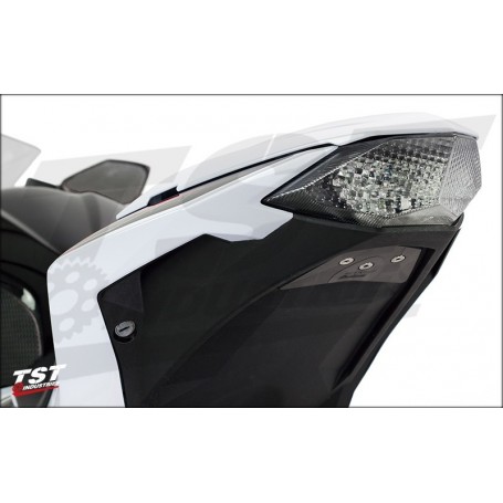 TST Undertail Closeout Kawasaki 2013-2017 Ninja 301