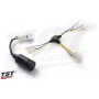 TST Brake Light Modulator for Yamaha TW200 1987+