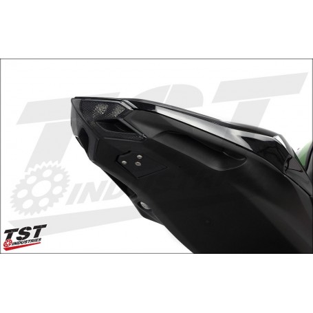 TST Undertail Closeout for Kawasaki Z800 2013-2016