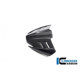 Windshield Ducati Diavel V4 from 2023 - glossy