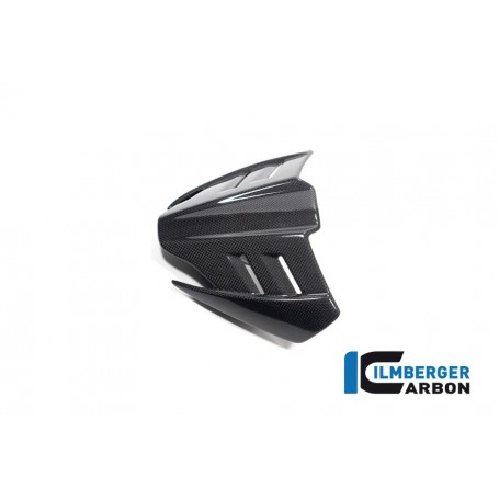 Windshield Ducati Diavel V4 from 2023 - glossy