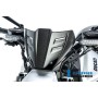 Windshield Ducati Diavel V4 from 2023 - matte