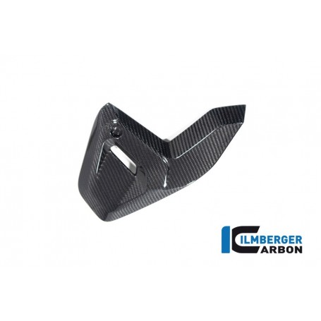 Triangular Frame Cover right BMW R 1300 GS from 2023 - glossy