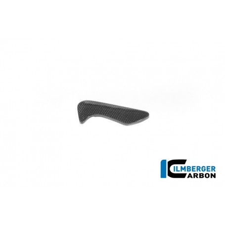 Toolbox Cover Carbon BMW R12 NineT 2024 - glossy