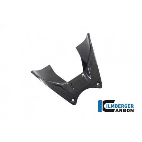 Tank Cover Ducati Diavel V4 from 2023 - glossy