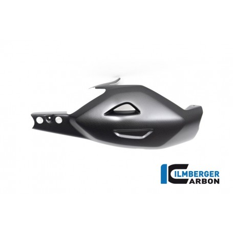 Swingarm Cover Ducati Diavel V4 from 2023 - matte