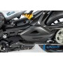 Swingarm Cover Ducati Diavel V4 from 2023 - matte