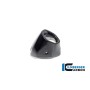Rear Silencer Protector Carbon BMW R 1300 GS from 2023 - glossy