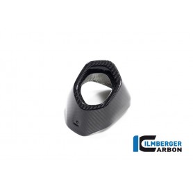 Rear Silencer Protector Carbon BMW R 1300 GS from 2023 - glossy