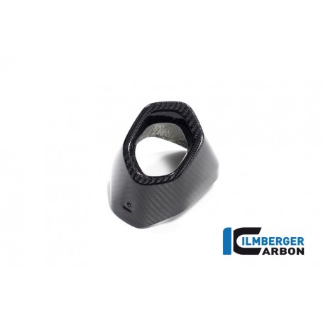 Rear Silencer Protector Carbon BMW R 1300 GS from 2023 - glossy