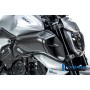 Right Airtube Cover Ducati Diavel V4 from 2023 - matte