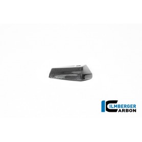 Oil Cooler Cover right Carbon BMW R12 NineT 2024 - glossy