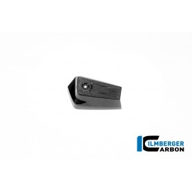 Oil Cooler Cover left Carbon BMW R12 NineT 2024 - glossy