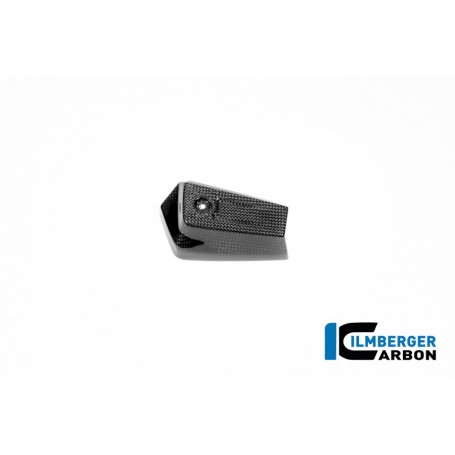 Oil Cooler Cover left Carbon BMW R12 NineT 2024 - glossy