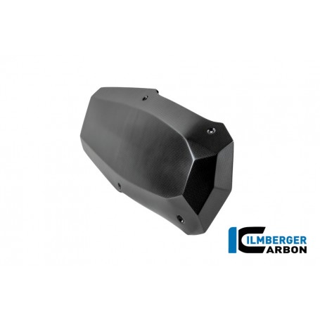 Motor Spoiler Carbon BMW R12 NineT 2024 - matte