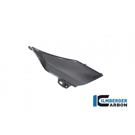 Lower Tank Cover right (upper piece) BMW R 1300 GS from 2023 - glossy
