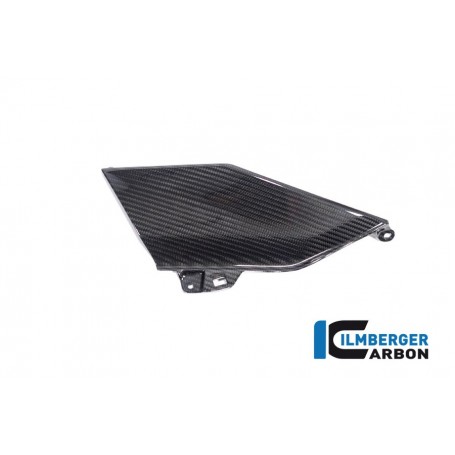 Lower Tank Cover left (upper piece) BMW R 1300 GS from 2023 - glossy