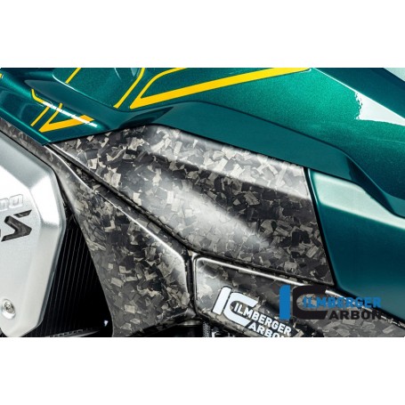 Lower Tank Cover left (upper piece) BDC BMW R 1300 GS from 2023 - matte