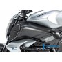 Left Airtube Cover Ducati Diavel V4 from 2023 - matte