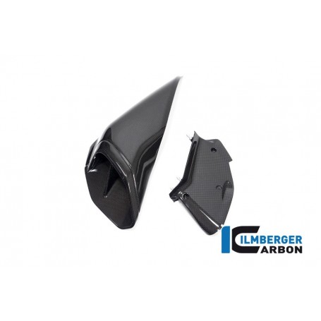 Left Airtube Cover Ducati Diavel V4 from 2023 - glossy