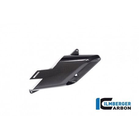 Left Airtube Outlet Ducati Diavel V4 from 2023 - glossy