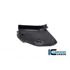 Inner Airtube Cover right Ducati Diavel V4 from 2023 - glossy