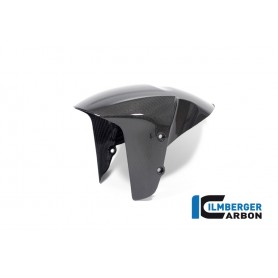 Front Fender Ducati Diavel V4 from 2023 - glossy