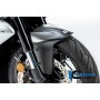 Front Fender Ducati Diavel V4 from 2023 - matte