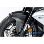 Front Fender Ducati Diavel V4 from 2023 - matte