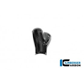 Exhaust Heat Shield Carbon BMW R12 NineT 2024 - glossy