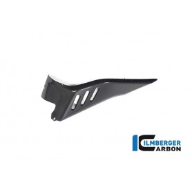 Cover under the Tank right Ducati Diavel V4 from 2023 - glossy