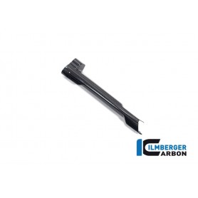 Brake-pipe Cover BMW R 1300 GS from 2023 - glossy