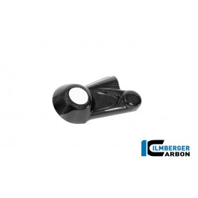 Cardan Shaft Cover Carbon BMW R12 NineT 2024 - glossy