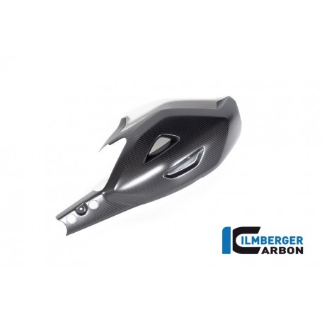 Swingarm Guard Ducati Diavel Bentley - matte