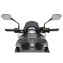 Puig Sport Screen Triumph Tiger Sport 800 2025