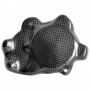 LighTech Carbon Pick Up Cover
