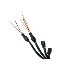 HEX ezCAN Accessory Manager BMW