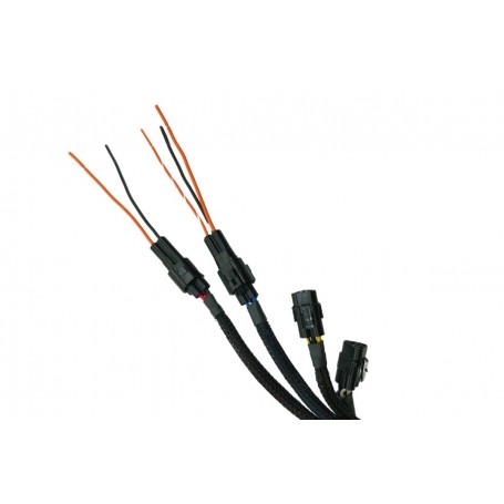 HEX ezCAN Accessory Manager BMW