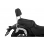 Adapter Set for C-Bow Soft Case Carrier in Combination with Backrest