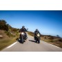 Wunderlich Pro-Sports Handlebar End Weights