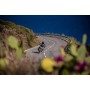 Wunderlich Windshield Touring G 310 R