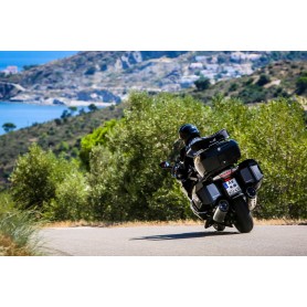 Wunderlich Hand Guards