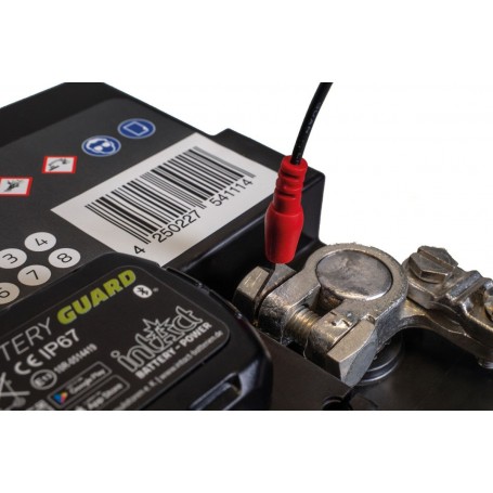 intAct Battery Guard