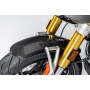 Ilmberger Front Wing R 12 nineT