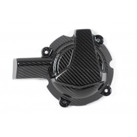 Ilmberger Generator Cover S 1000 XR / M 1000 XR